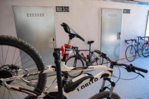 Montar en bicicleta en CicloLodge o alrededores