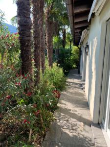 a sidewalk next to a house with a palm tree at Villa Leone in Morcote