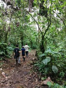 Tres personas caminando por un sendero en la jungla en Huasquila Amazon Lodge, en Cotundo