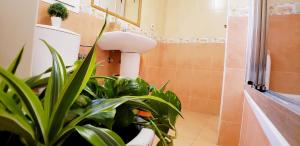 Ванная комната в ROQUETAS BEACH HOUSE Apartamento fresco con Piscina