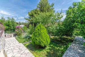 Zahrada ubytování House Blanka
