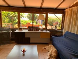 Posezení v ubytování b&b Casa di Antonio_Etna Vacanze + 37 fotografií