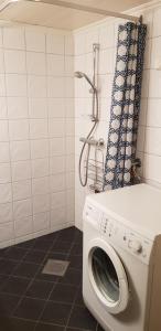 Irenegarden - Panorama apartment tesisinde bir banyo
