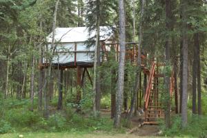 a tree house in the middle of the woods at Sven's Basecamp Hostel in Fairbanks