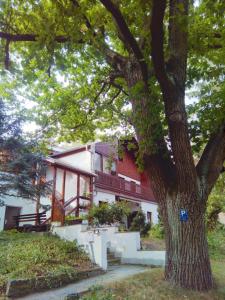 ein Haus mit einem Baum davor in der Unterkunft Pension Fischer in Plauen