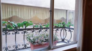 台北的住宿－洛碁大飯店花華分館，窗户上的阳台种植了盆栽植物