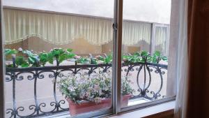 台北市にあるグリーンワールド 花華別館の窓際の鉢植えのバルコニー +24枚の写真