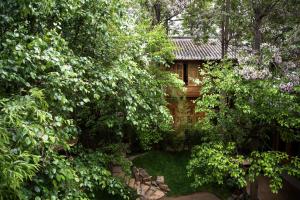 un jardín frente a una casa con árboles en 吾爱堂 en Lijiang