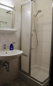 a bathroom with a shower and a sink at Kraichtaler Hof in Kraichtal