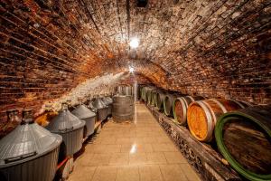 Foto dalla galleria di Apartmán Marie a Mutěnice