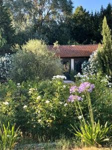 サン・レミ・ド・プロヴァンスにあるB&B Mas de caustesの家の前の花の庭園