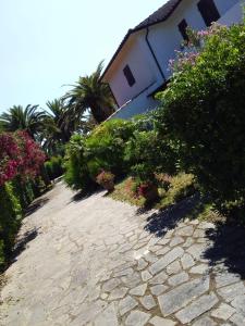 カポリーヴェリにあるLe Palmeの植物の家の前の石道