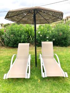 two chairs under an umbrella in the grass at Rose Hotel Faliraki in Faliraki