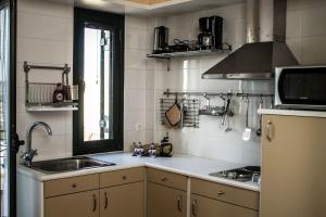 kuchnia ze zlewem i kuchenką górny piekarnik w obiekcie Seaview Symphony Appartments-Filia w mieście Mochlos +14 zdjęć