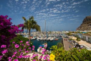 un port de plaisance avec des bateaux dans un port aux fleurs violettes dans l'établissement Vista Dorada al mar balcón-Wifi By CanariasGetaway, à Las Palmas de Gran Canaria