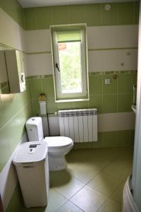 Kamar mandi di Drewniany domek z piernika