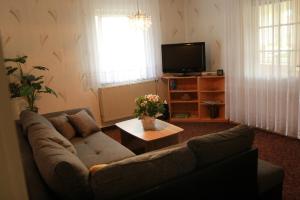 ein Wohnzimmer mit Sofa und Fernseher in der Unterkunft Ferienwohnung im Herzen des Nationalparks in Hohnstein
