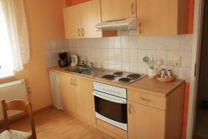 eine kleine Küche mit Herd und Spüle in der Unterkunft Ferienwohnung im Herzen des Nationalparks in Hohnstein