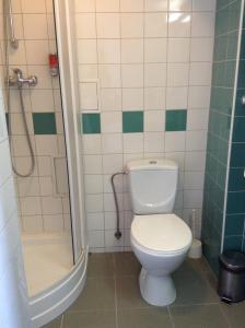 a bathroom with a toilet and a shower at Olimpiska Centra Ventspils Hotel in Ventspils