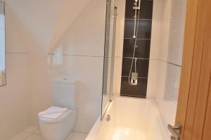 a white bathroom with a toilet and a shower at Ashbrook Lets Apartments in Blewbury
