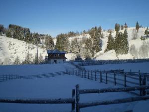 L'établissement Cabana Mariuca Fundata en hiver