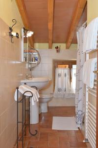 une salle de bain avec un lavabo et des toilettes dans l'établissement RELAIS ANTICA CORTE AL MOLINO - Adults Only, à Negrar