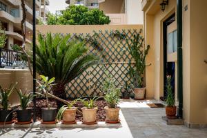 Un mucchio di piante in vaso in un cortile di Terpsis Lodge a Heraklion