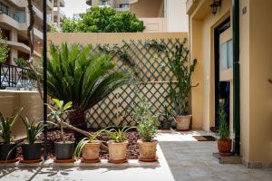 a bunch of potted plants in a courtyard at Terpsis Lodge in Heraklio Town