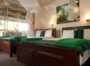 Fotografie z fotogalerie ubytování Ella green stay v destinaci Ella