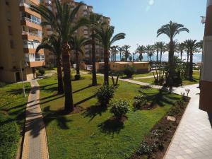 Zahrada ubytování Apartamentos Intercentro Algarrobo-Costa APARTAMENTOS TURÍSTICOS -INMOBILIARIA