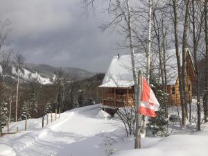 a gazebo in the snow next to a flag at B&B Le Chalet Bois de Coeur in Saint Come