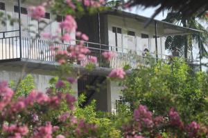 Φωτογραφία από το άλμπουμ του Thạch Thảo Homestay σε My Tho