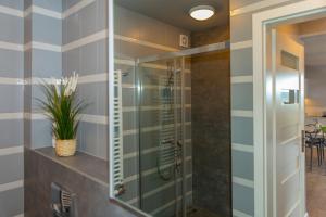 a bathroom with a shower with a glass door at Sun & Sport Apartamenty Krynica-Zdrój in Krynica Zdrój +109 photos