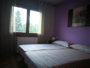 - une chambre avec un lit et une fenêtre dans l'établissement apartment nuria, à Puigcerdà