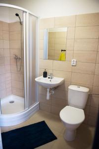 ein Bad mit einem WC, einem Waschbecken und einer Dusche in der Unterkunft Penzion Veritas in Vranovice