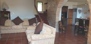 a living room with a couch and a cat standing in a room at B&B Da Lucia in Fabriano