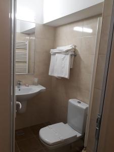 Ванная комната в Hotel Lotru