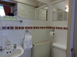 a bathroom with a sink and a toilet and a mirror at Dumfries Villa in Dumfries