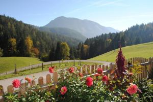 a road with flowers and a fence and mountains at Familienbauernhof Glockriegl in Lunz am See