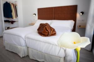 Basic Hotel Sevilla Catedral, Seville – Updated 2022 Prices