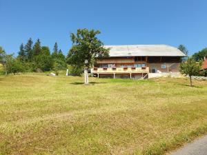 a house on top of a field with a tree at b&b krättli in Eggiwil