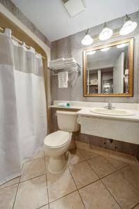 a bathroom with a toilet and a sink and a mirror at Monte Carlo Inn Brampton in Brampton