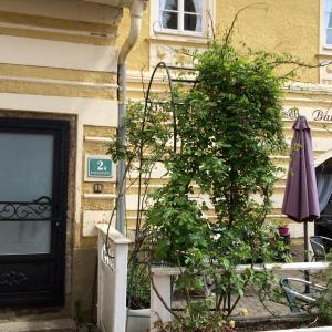 Budova, kde se apartmán nachází + 5 fotografií