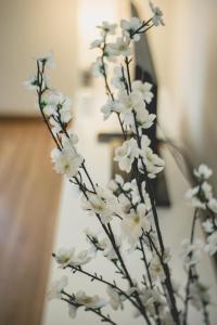 un jarrón lleno de flores blancas en una habitación en My Resort Beach Apartment, en Hua Hin