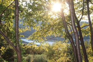 a view of the river through the trees at Bed and Breakfast La Quiete in Arcugnano