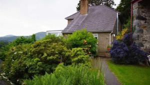 Ein Haus mit Büschen davor. in der Unterkunft Eryl cottage in Rowen in Llangelynin
