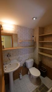 a bathroom with a toilet and a sink at River Side Holiday Home near Besenova in Ivachnová +27 photos