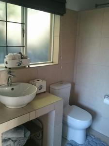 a bathroom with a sink and a toilet and a window at 4 On Braemar - Flat B in Nottingham Road