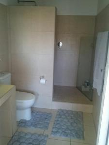 a bathroom with a toilet and a shower in it at 4 On Braemar - Flat B in Nottingham Road