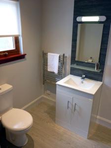 een badkamer met een wastafel, een toilet en een spiegel bij Holly Tree Cottage in Glencoe